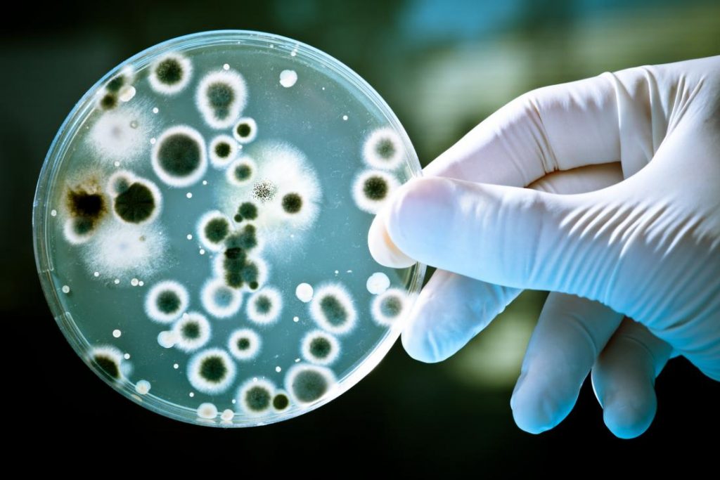 thuốc kháng sinh và vi khuẩn